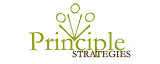 Principle Strategies